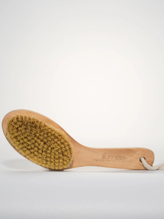 Lymphatic Body Brush - Ilumaa